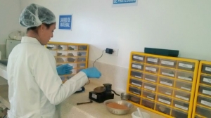 La UDES impulsa la productividad y competitividad a más de 500 familias cacaoteras de Santander