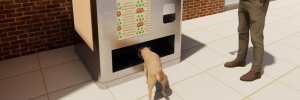 Investigadores UDES diseñan máquina que premia el reciclaje con alimento para animales callejeros