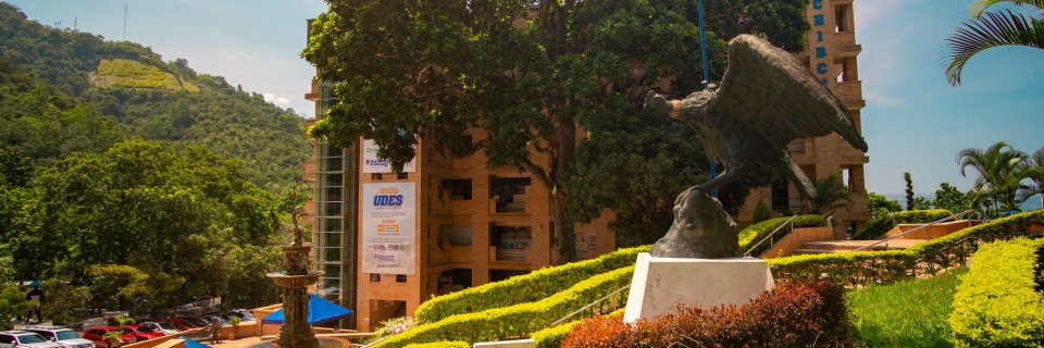 Mario José Pineda, futuro ingeniero ambiental UDES, impulsó procesos sostenibles en la Fundación Avanzar FOS