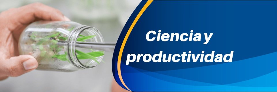 Junto con CENIPALMA, UDES desarrolló simulador para aumentar la producción de palma de aceite