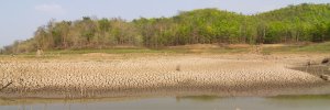 &iquest;C&oacute;mo podr&iacute;a afectar el fen&oacute;meno de El Ni&ntilde;o a Santander? Experto UDES explica los posibles impactos sobre el agua y la energ&iacute;a