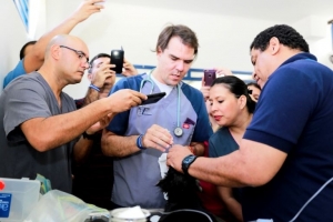 Taller teórico práctico ABC de anestesia y analgesia de pequeños animales