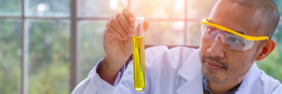 UDES dictará diplomado a trabajadores de plantas de palma