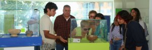 Semana del Patrimonio: Recorrido por el museo UDES