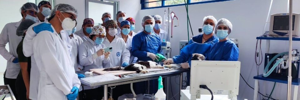 Clínica Veterinaria UDES ayuda a salvar vidas de animales con tecnología de punta