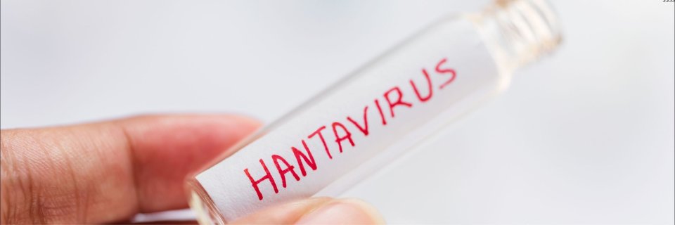 Expertos UDES analizan alerta mundial por hantavirus y explican riesgos para Colombia, s&iacute;ntomas y medidas de prevenci&oacute;n