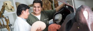 UDES avanza en la creación de una nueva maestría tras ganar convocatoria del MinEducación