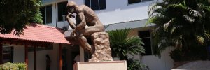 Con investigación la UDES apoya proyecto aprobado por el Sistema General de Regalías