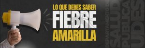 Abecé de la fiebre amarilla: infórmate, protégete y vacúnate