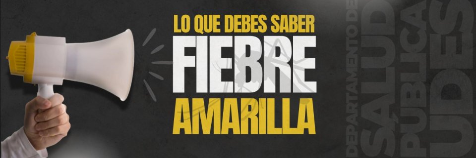 Abecé de la fiebre amarilla: infórmate, protégete y vacúnate