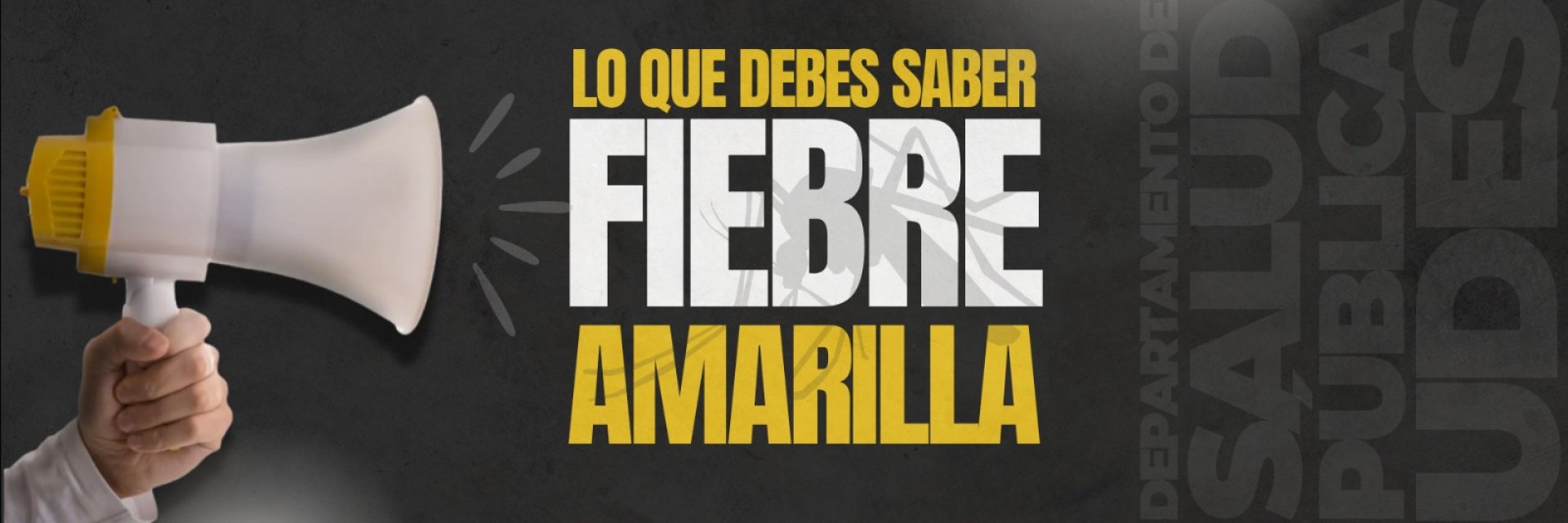 Abecé de la fiebre amarilla: infórmate, protégete y vacúnate