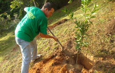 El pulmón verde de la UDES se renueva con la plantación de 1.000 nuevos árboles