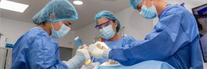 Empresa alemana TalentOrange explora alianzas con la UDES para reclutar profesionales en salud y educación