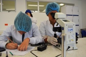 Habilidades laborales necesarias para profesionales exitosos
