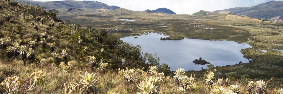 El &amp;#039;enemigo invisible&amp;#039; que deja la miner&iacute;a ilegal en el p&aacute;ramo de Santurb&aacute;n: esta es la reacci&oacute;n qu&iacute;mica que contaminar&iacute;a el agua durante siglos