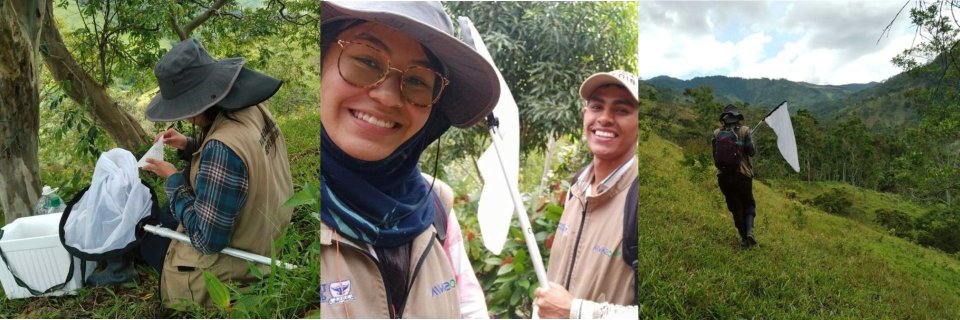 Sistemas agroforestales, alternativa para conservar la fauna y flora del Catatumbo