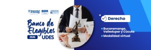 Banco de hojas de vida para el programa de Derecho - virtual