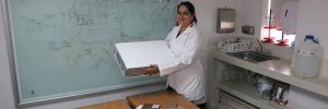 La UDES proporciona soluciones sostenibles para el sector de la construcción
