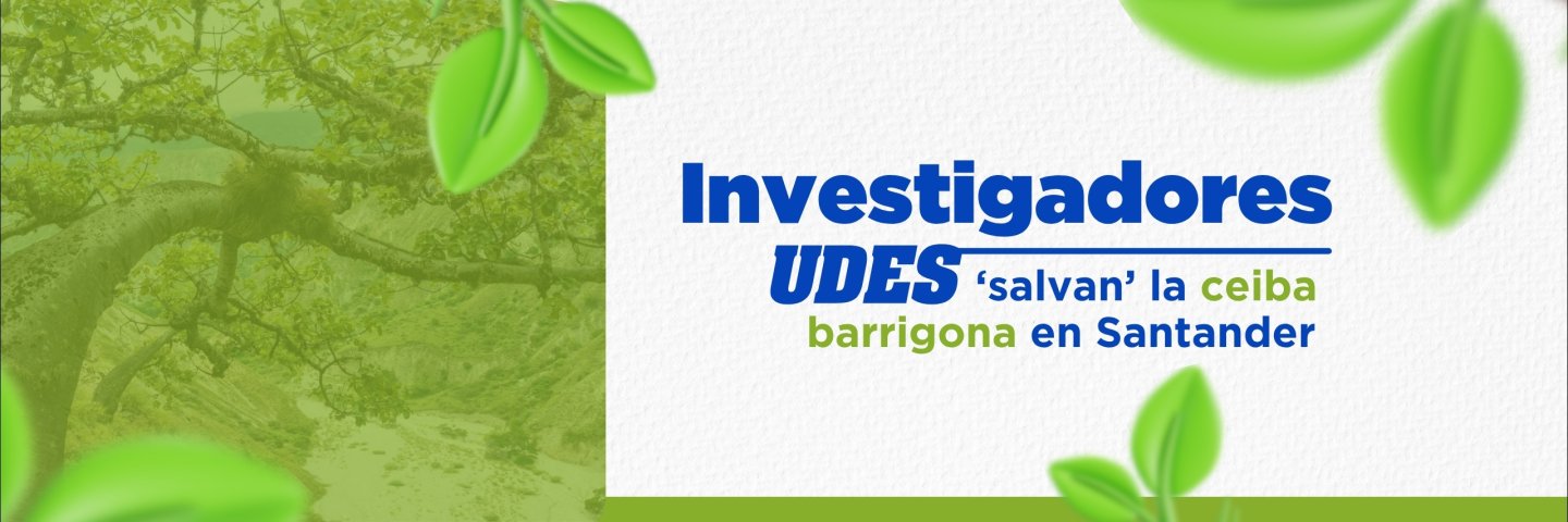 Investigadores de la UDES promueven la conservación de la ceiba barrigona con apoyo de la microbiota nativa del suelo