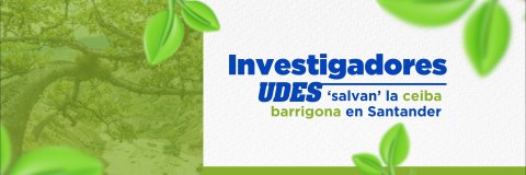 Investigadores de la UDES promueven la conservación de la ceiba barrigona con apoyo de la microbiota nativa del suelo
