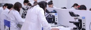 Participe como par evaluador de los proyectos de investigación UDES
