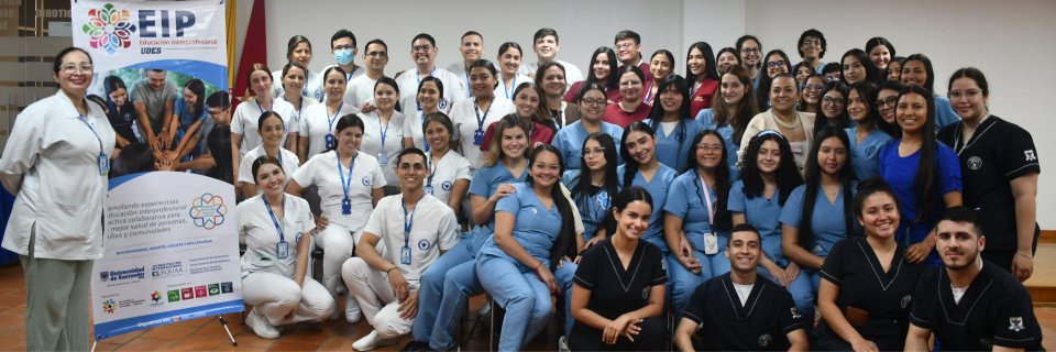 &lsquo;Marketing de Roles&rsquo; como estrategia en la Educaci&oacute;n Interprofesional