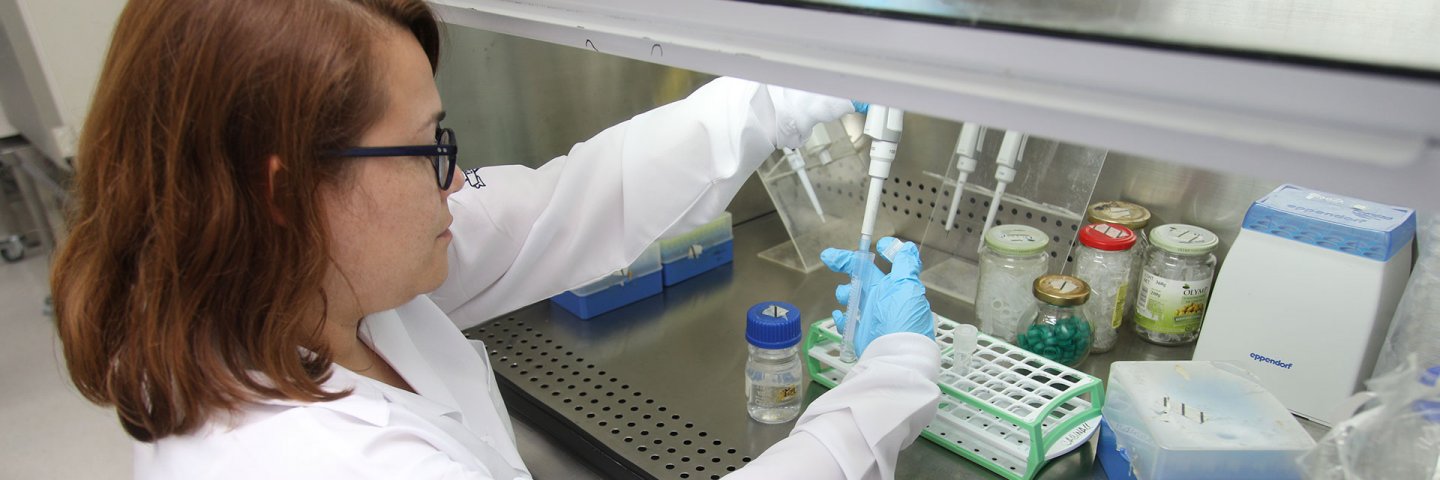 La UDES avanza en investigación contra el cáncer de colon